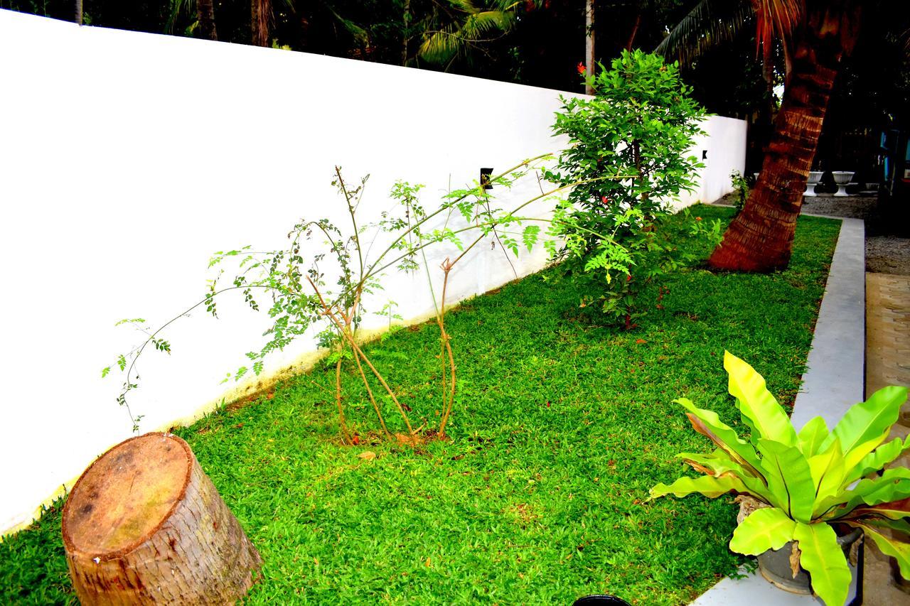 Leonine Villa Yala Tissamaharama Ngoại thất bức ảnh